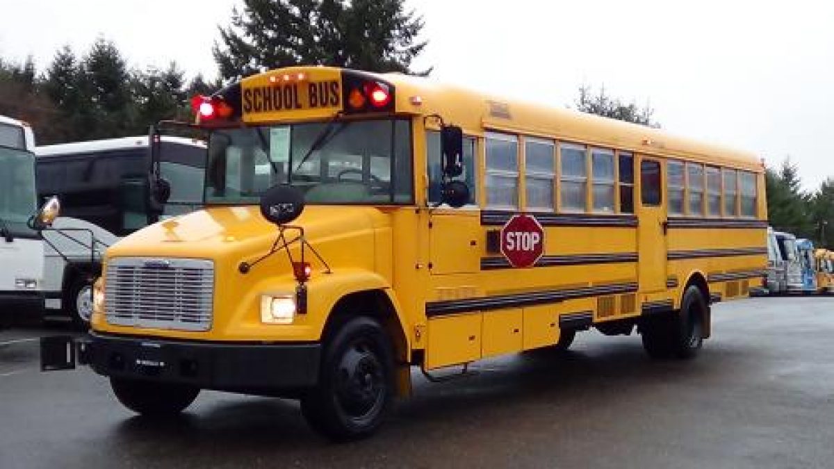 freightliner bus