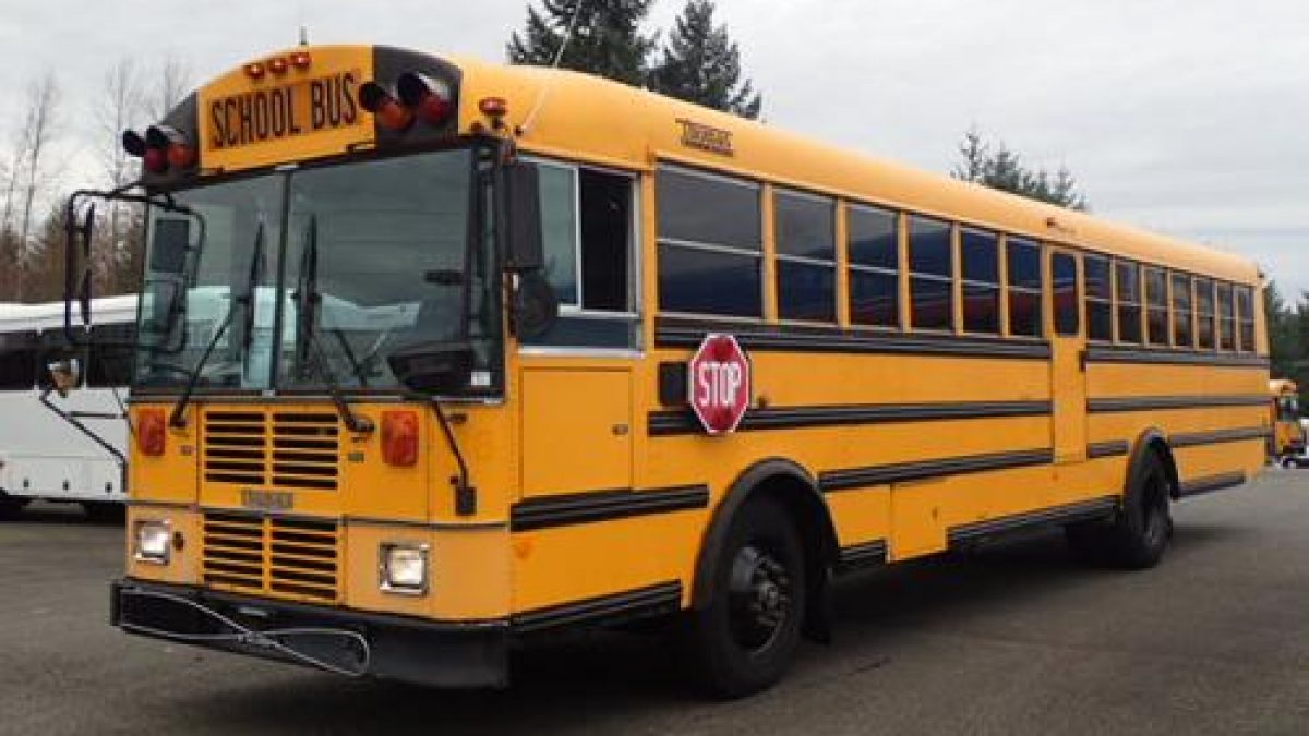 Vintage 10s+ Cotton Colour-Block Navy North Pole New York Bus