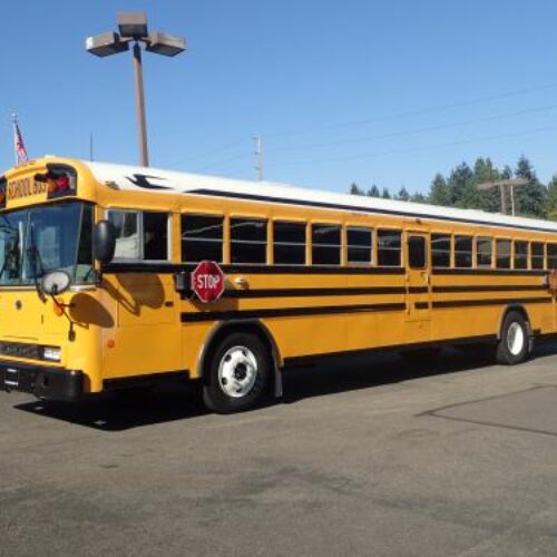 2009 Bluebird All American 84 Passenger School Bus - B63241