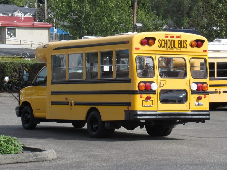 2003 Chevrolet Blue Bird Micro Bird 30 Passenger Type-A School Bus ...