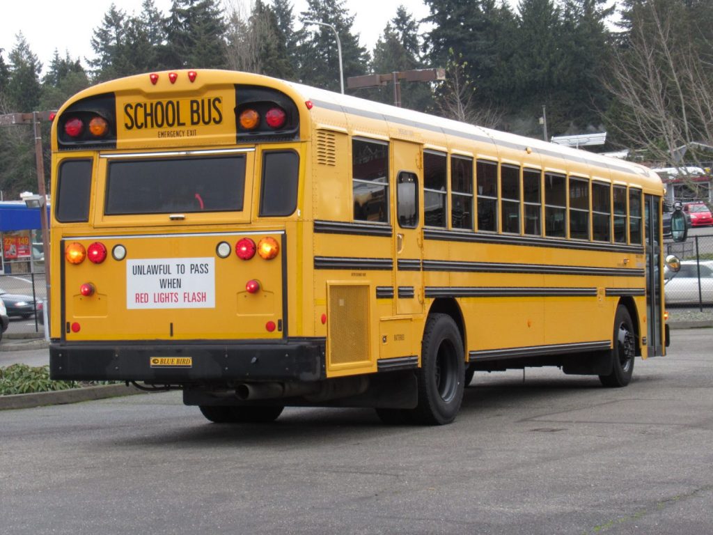 2008 Blue Bird All American 72 Passenger School Bus - B46187 ...