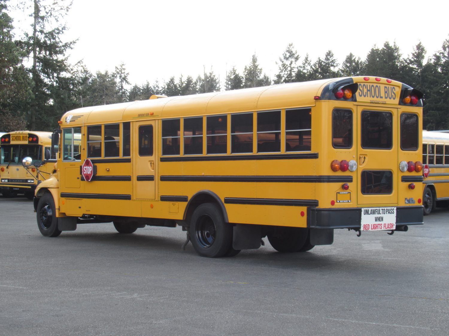 school bus ic ce 2009