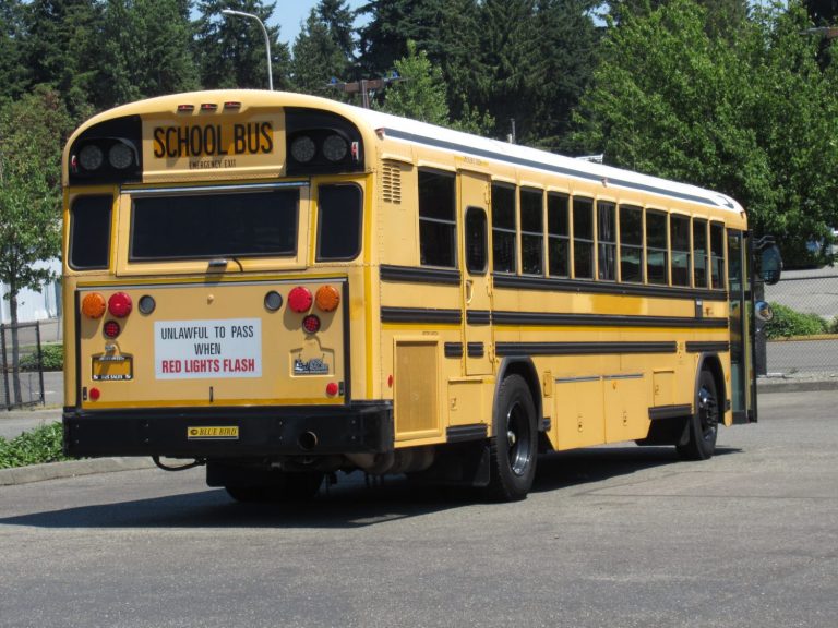 2007 Blue Bird All American 75 Passenger School Bus - B43223 ...