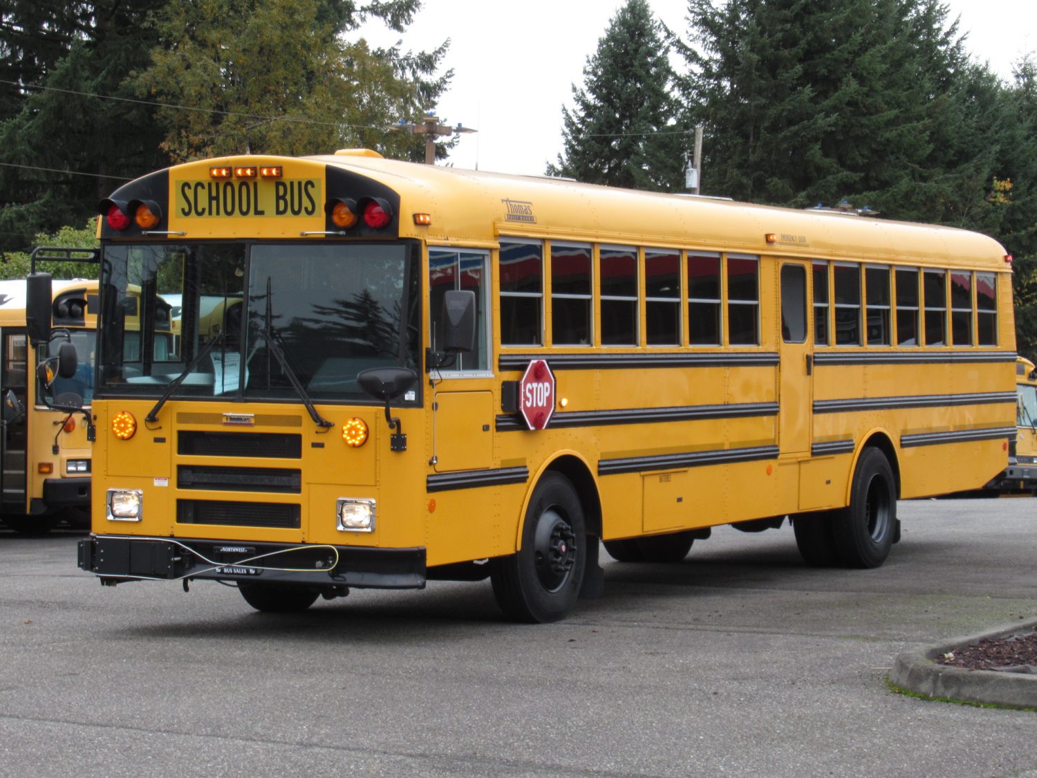 2009 Thomas Saf-T-Liner 78 Passenger School Bus - B13402 