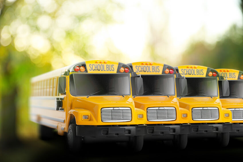 4 School Buses in a Row Front-Facing Against Blurred Tree Backdrop