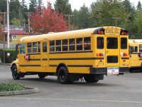 2005 International CE-200 18+3 ADA Short School Bus - B81461