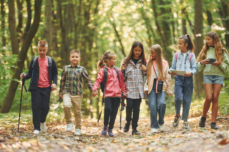 Fall Students Memorable Student Field Trips for the Fall Season | Northwest Bus Sales ...