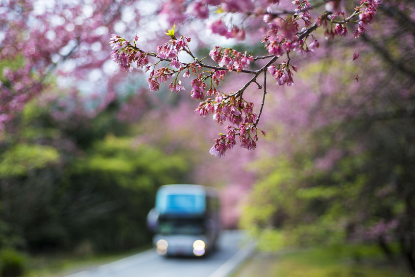 Spring bus tour