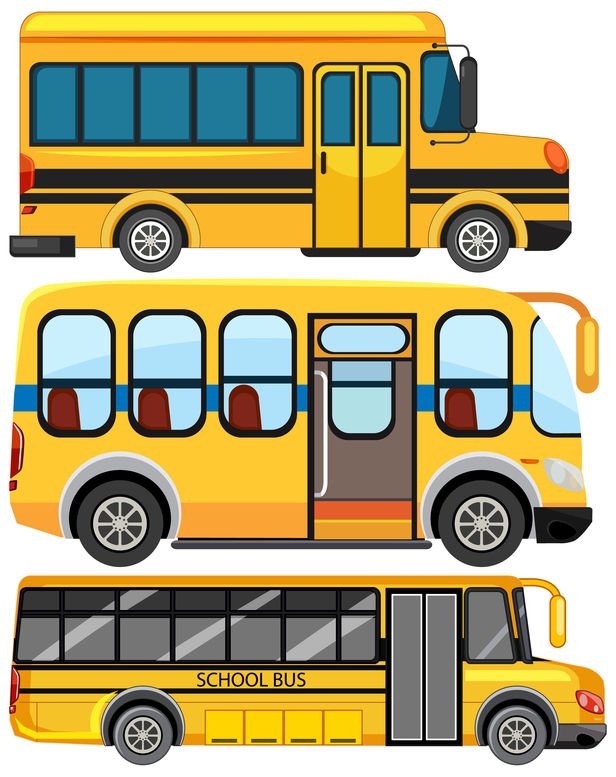 School Bus Vector Collection illustration