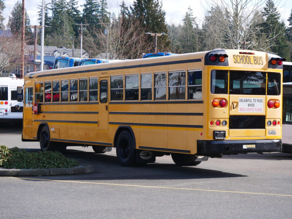 2010 Blue Bird All American 81 Passenger School Bus - B74858 ...
