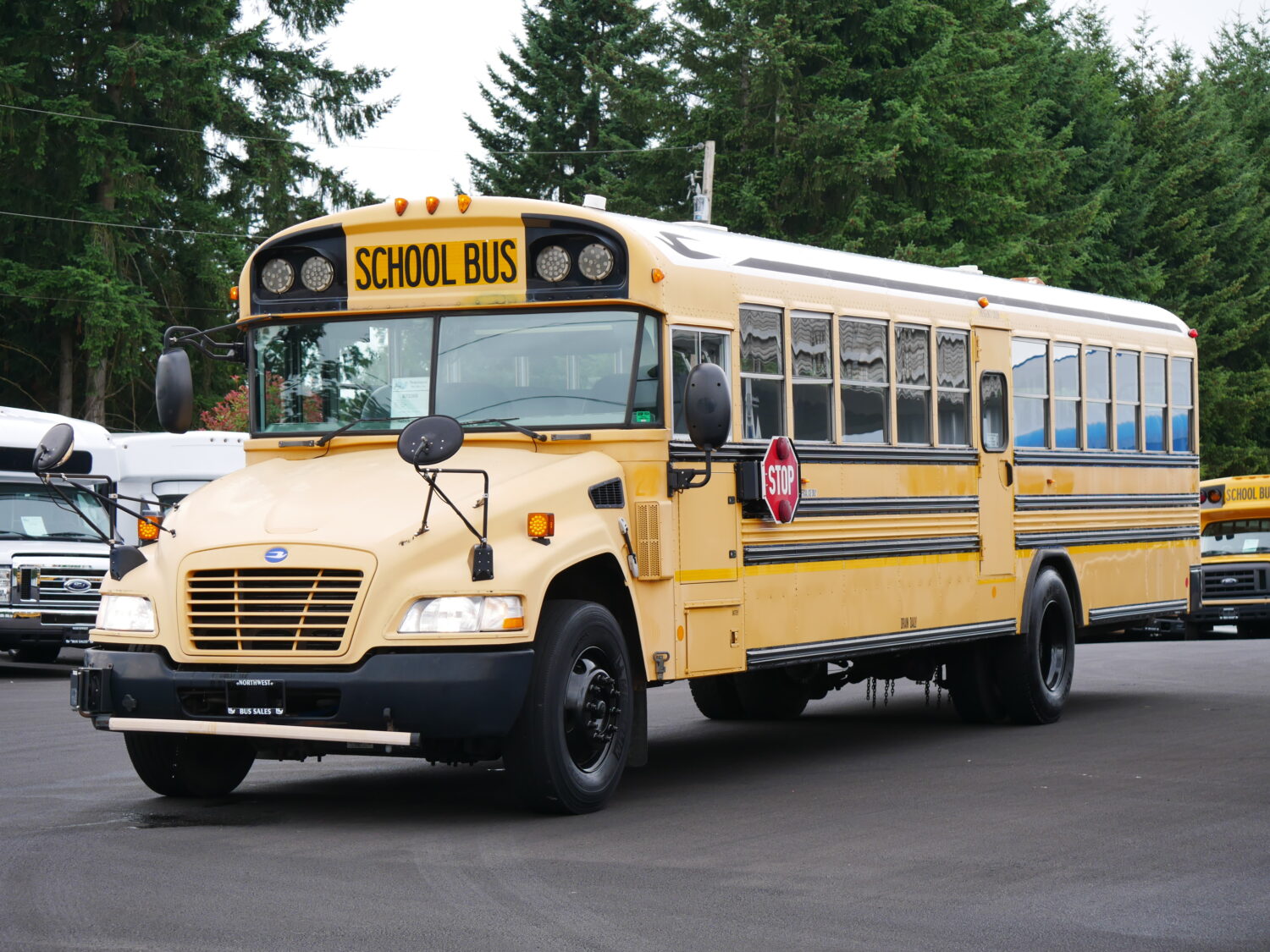 2010 Blue Bird Vision 71 Passenger School Bus - B72300 - Image 2