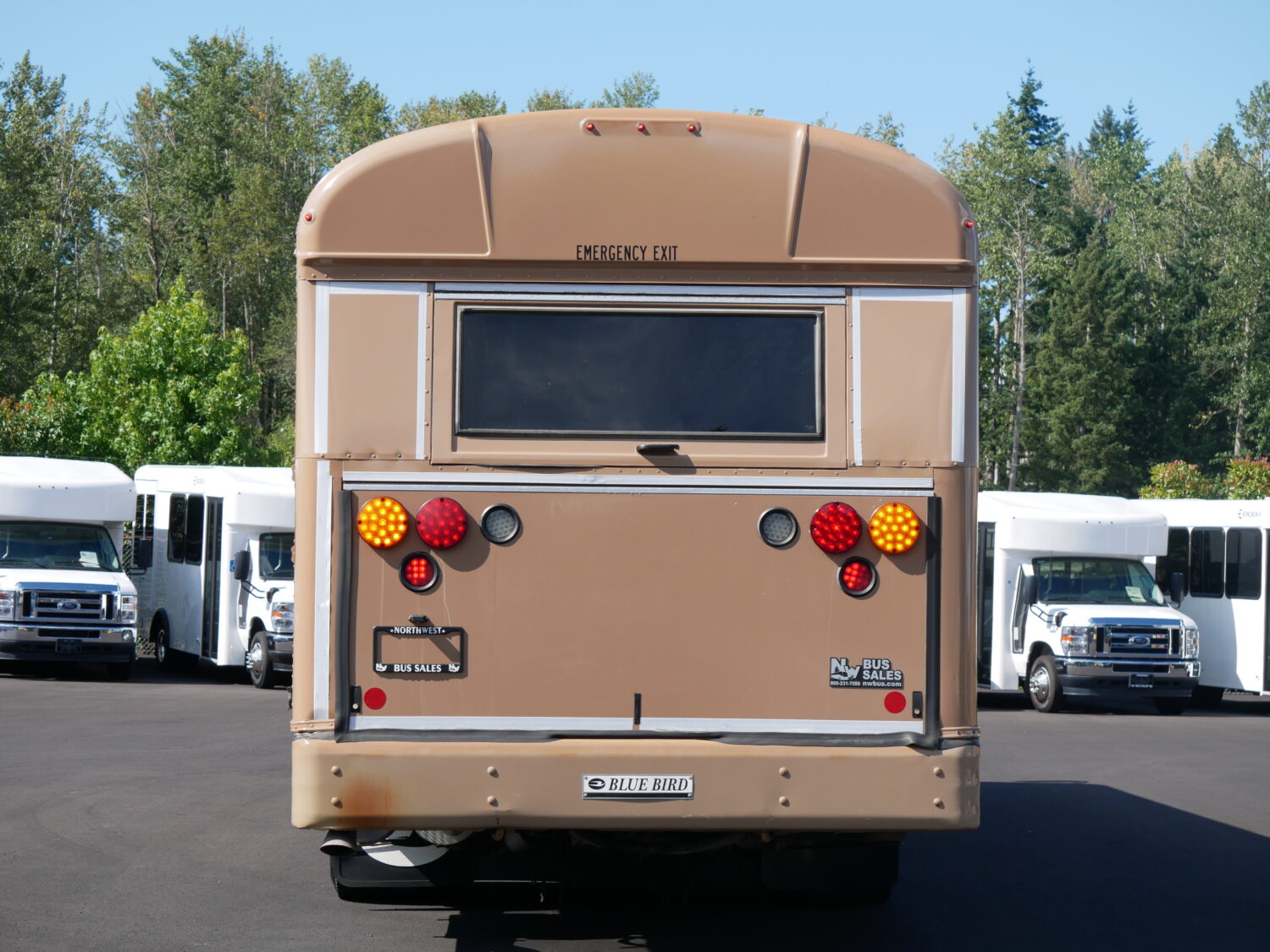 2014 Blue Bird All American 44 Passenger Bus - B02329 - Image 11