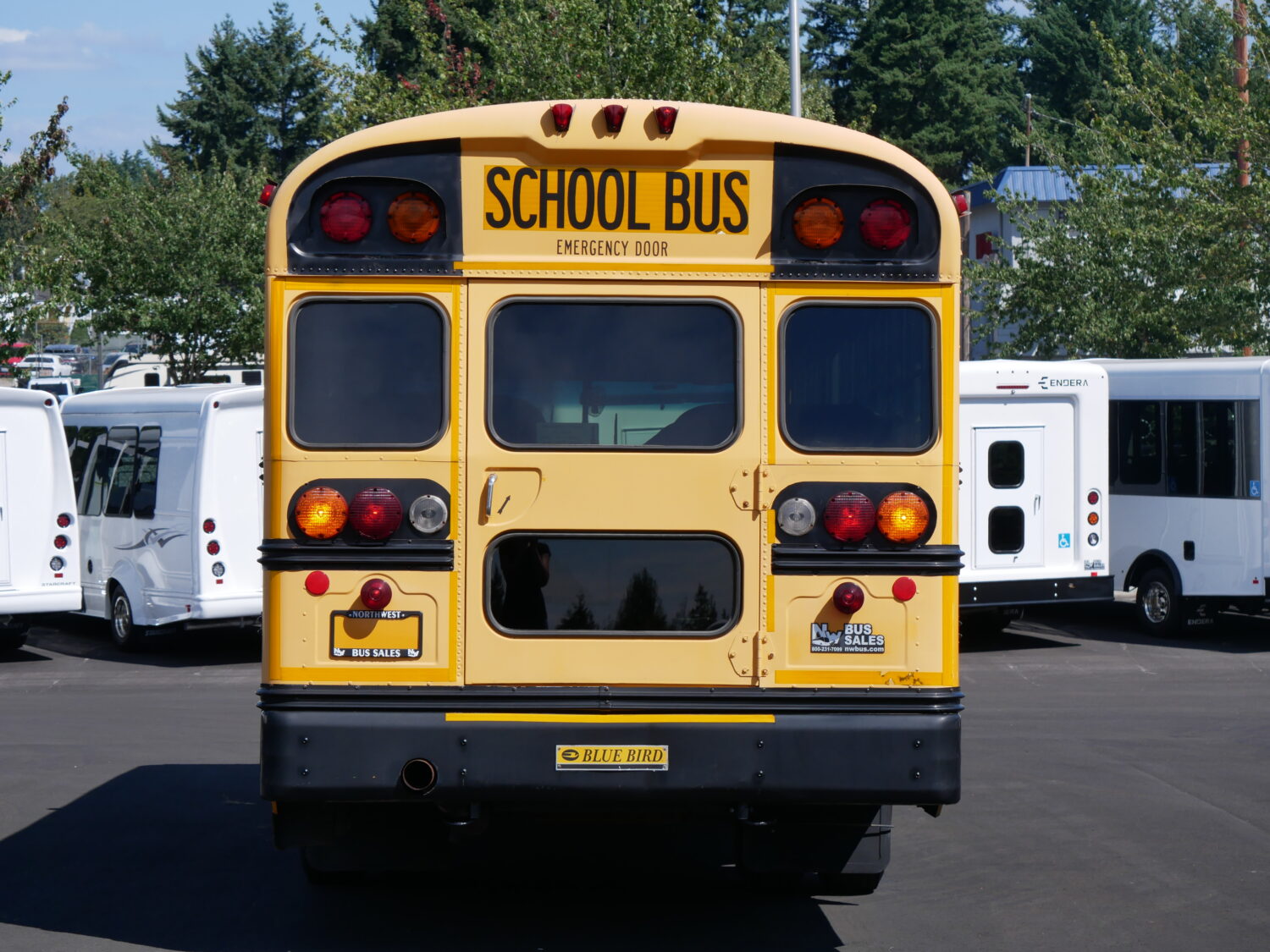 2006 Blue Bird All American 42 Passenger School Bus - B37003 - Image 11