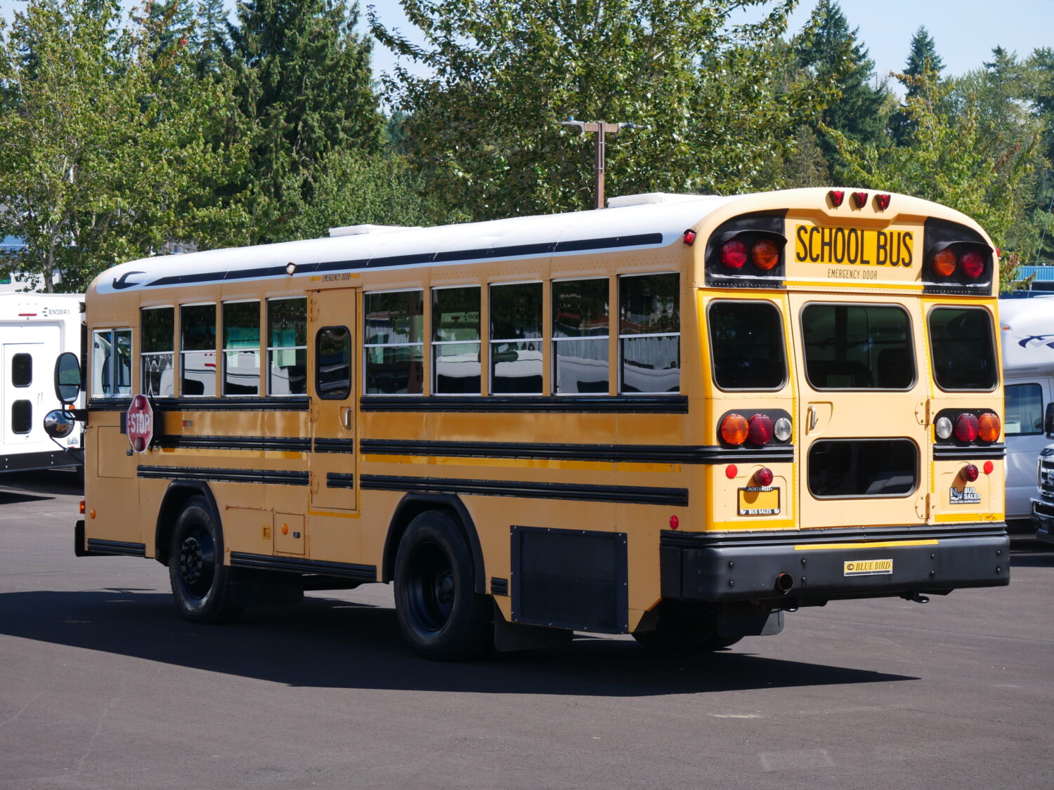 2006 Blue Bird All American 42 Passenger School Bus - B37003 - Image 4