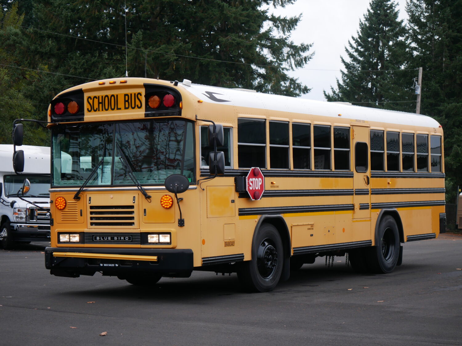 2013 Blue Bird All American 20 Passenger + 2 Wheelchair ADA School Bus - B89619 - Image 2