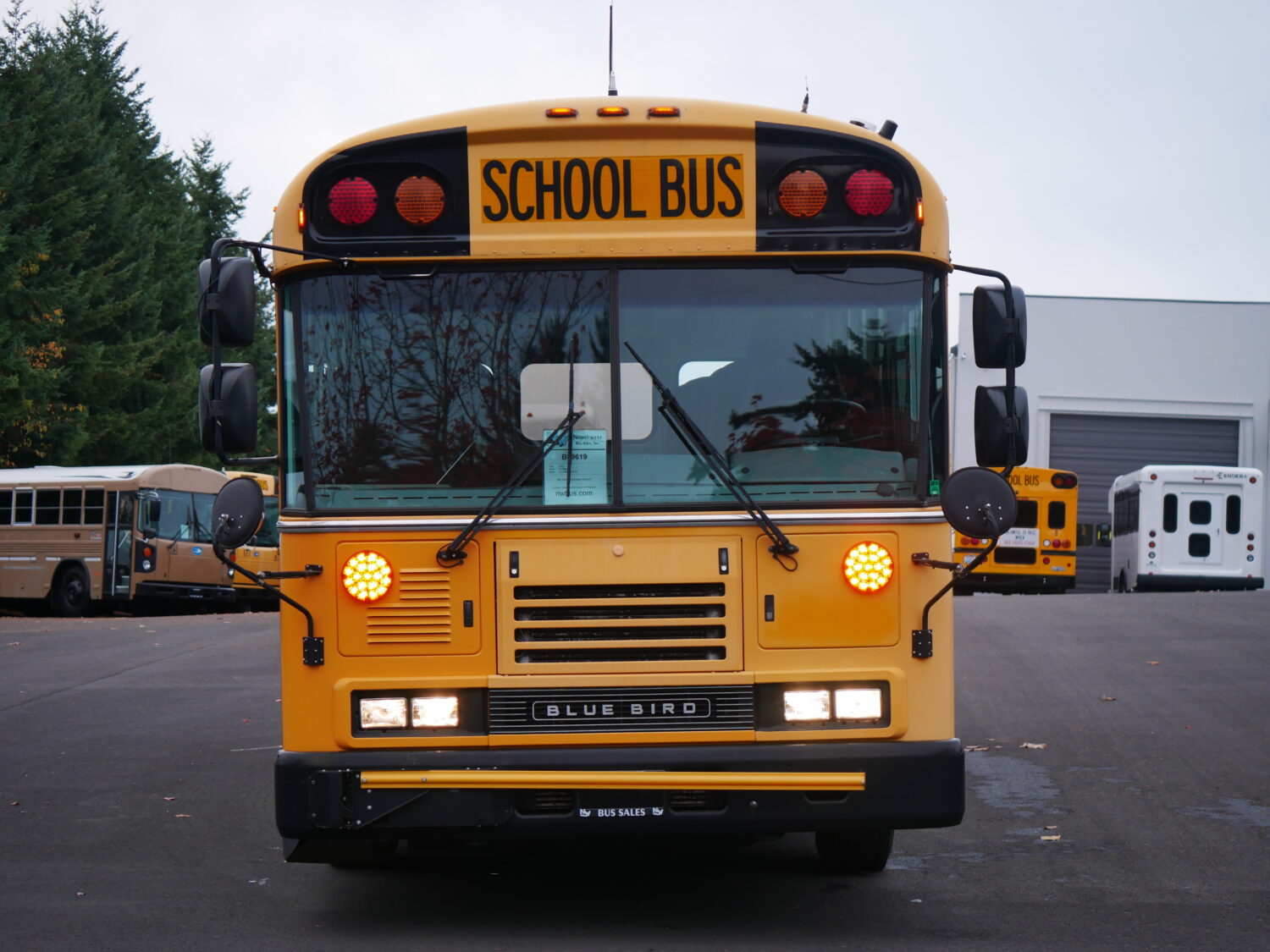 2013 Blue Bird All American 20 Passenger + 2 Wheelchair ADA School Bus - B89619 - Image 12