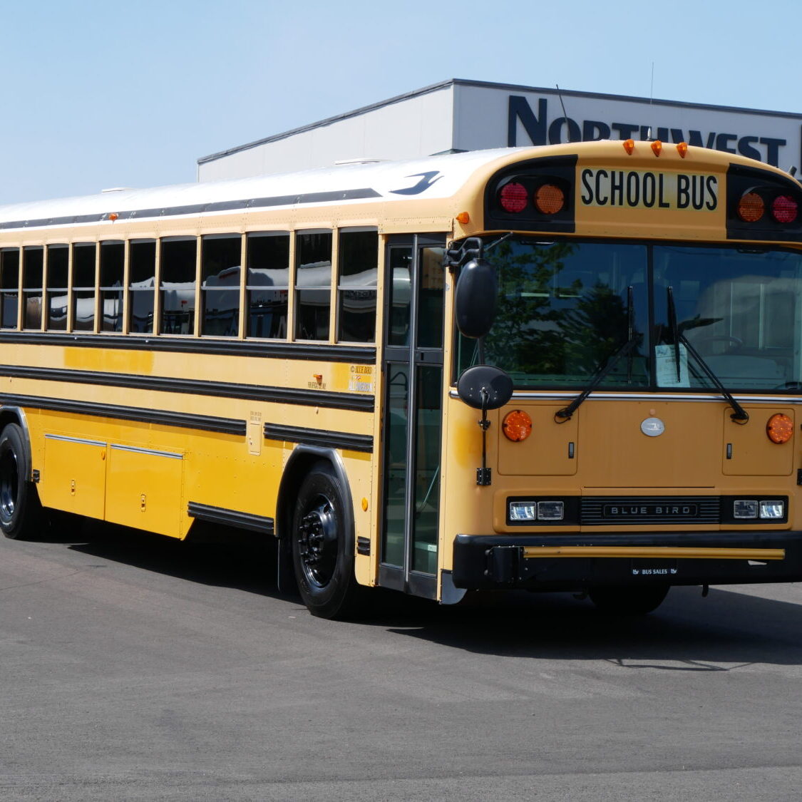 2008 Bluebird All American 84 Passenger School Bus - B54264