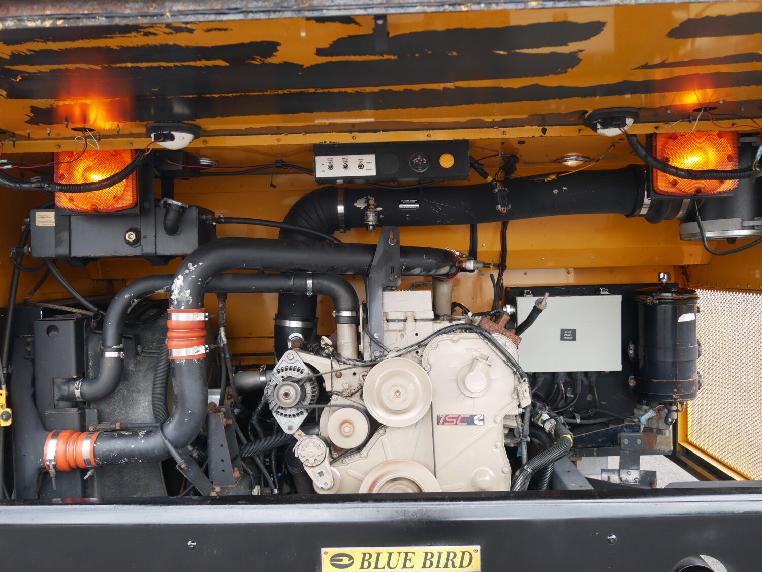 2004 Blue Bird All American 78 Passenger School Bus - B18384 - Image 9