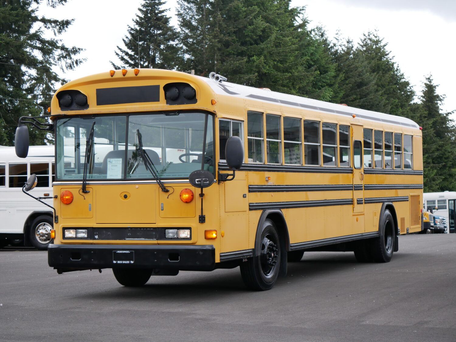 2004 Blue Bird All American 78 Passenger School Bus - B18384 - Image 2