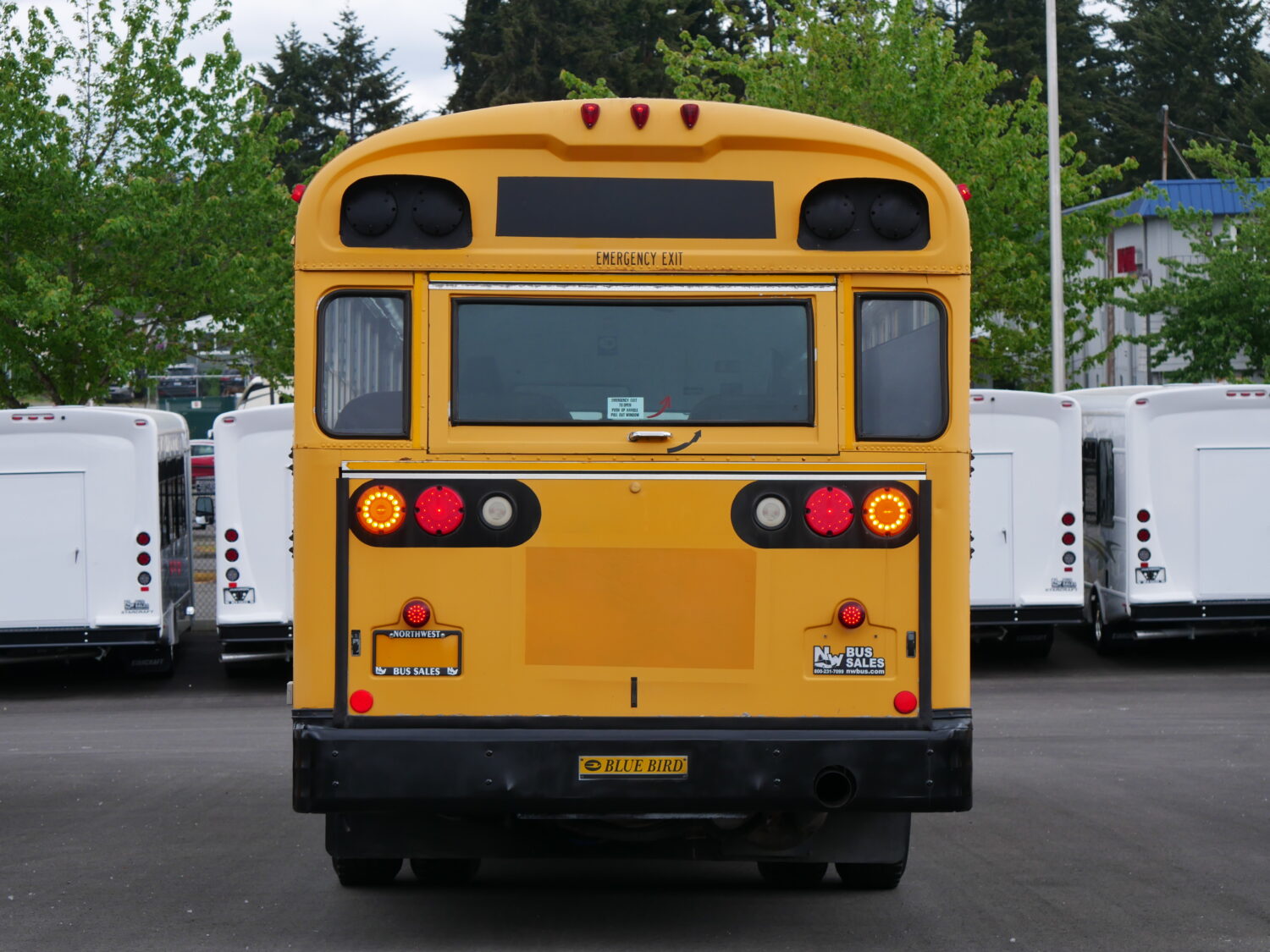 2004 Blue Bird All American 78 Passenger School Bus - B18384 - Image 12