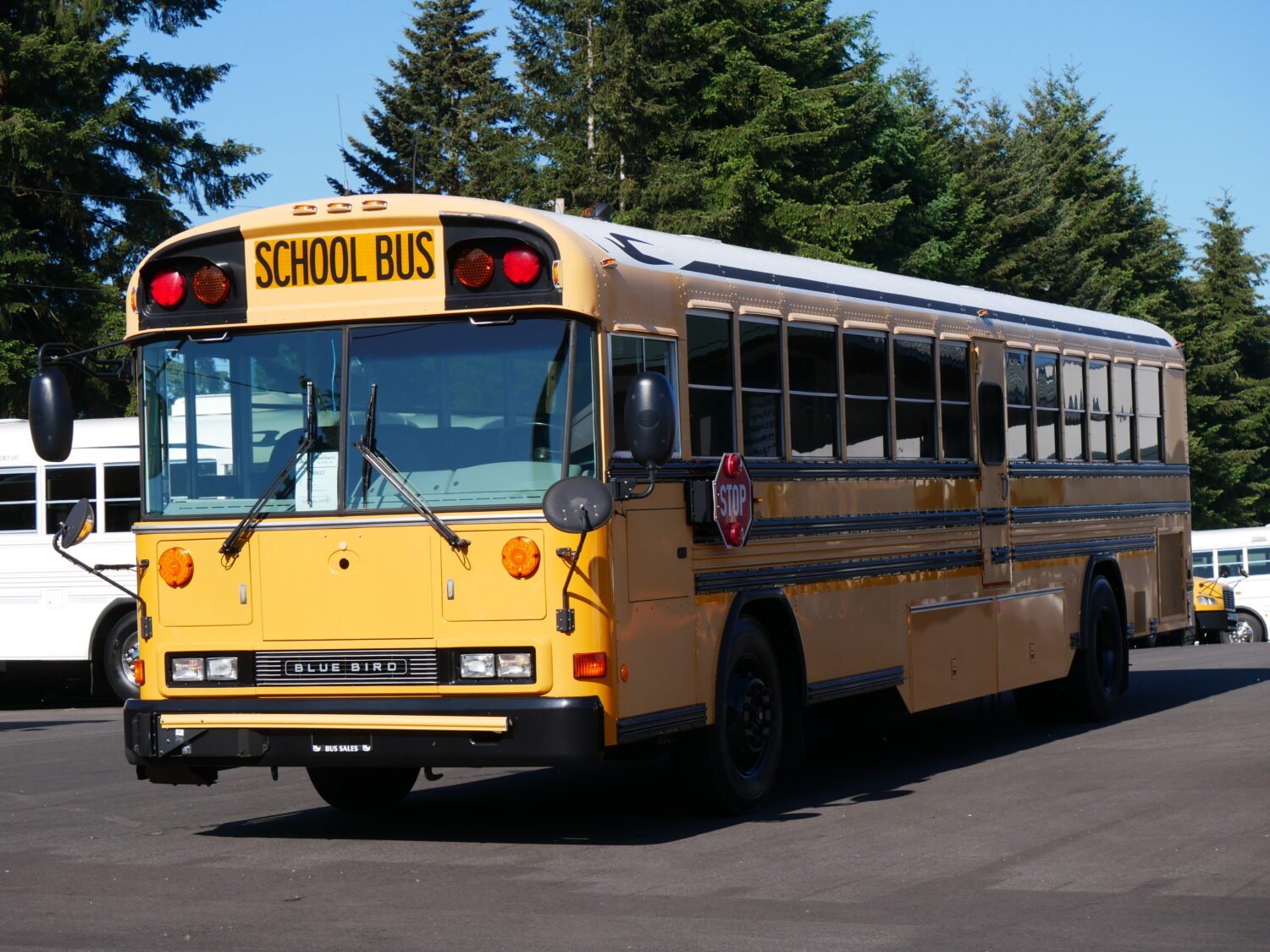 2007 Blue Bird All American 84 Passenger School Bus - B40622 - Image 2