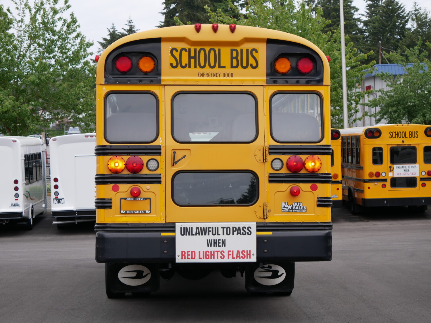 2013 Bluebird Vision 53 Passenger Short School Bus - B95917 - Image 11