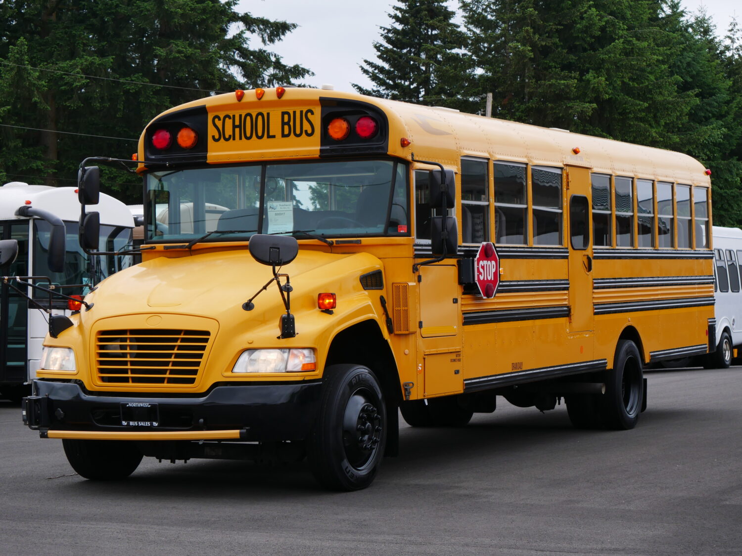 2013 Bluebird Vision 53 Passenger Short School Bus - B95917 - Image 2